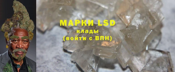 ПСИЛОЦИБИНОВЫЕ ГРИБЫ Костерёво