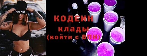 ПСИЛОЦИБИНОВЫЕ ГРИБЫ Костерёво