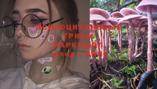меф Корсаков