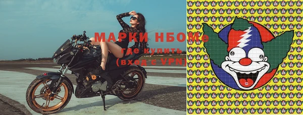 ПСИЛОЦИБИНОВЫЕ ГРИБЫ Костерёво