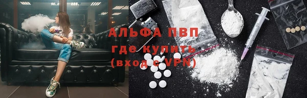 PSILOCYBIN Киренск